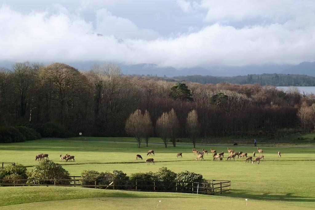 Castlerosse Park Resort Killarney Dış mekan fotoğraf